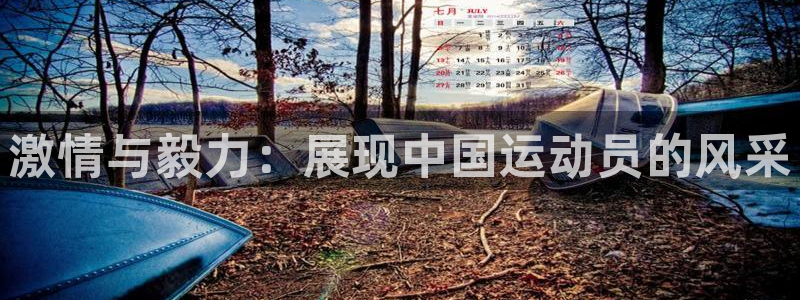 凯发官方集团官网:激情与毅力:展现中国运动员的风采